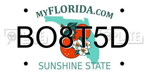 BO8T5D Florida License Plate