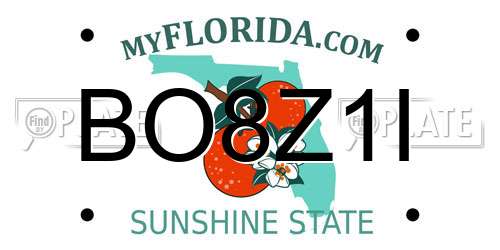 BO8Z1I Florida License Plate