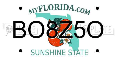 BO8Z5O Florida License Plate