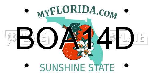 BOA14D Florida License Plate