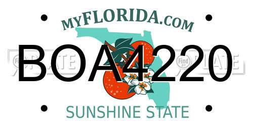 BOA4220 Florida License Plate