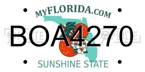 BOA4270 Florida License Plate
