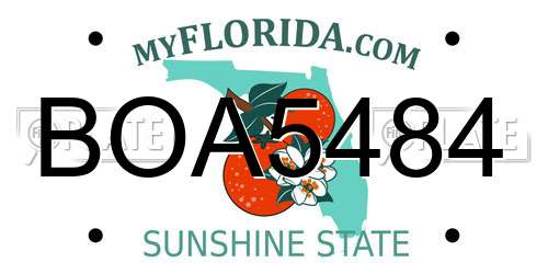 BOA5484 Florida License Plate