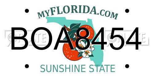 BOA8454 Florida License Plate