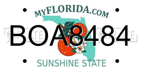 BOA8484 Florida License Plate