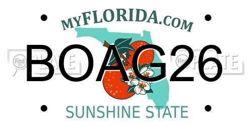 BOAG26 Florida License Plate