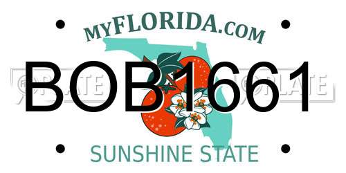 BOB1661 Florida License Plate