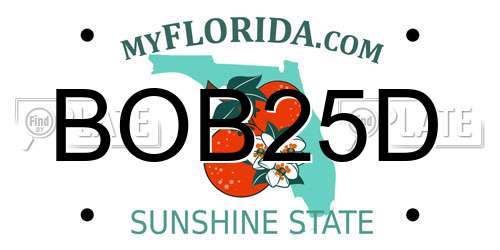BOB25D Florida License Plate