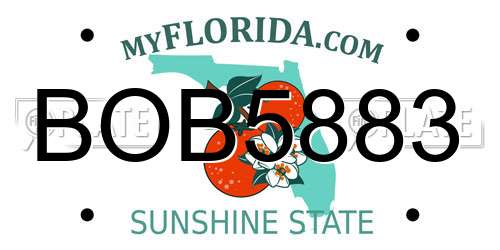BOB5883 Florida License Plate