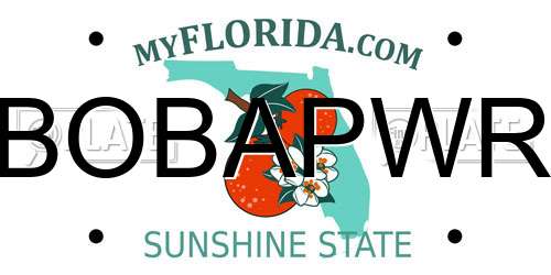 BOBAPWR Florida License Plate
