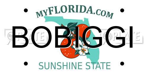 BOBIGGI Florida License Plate