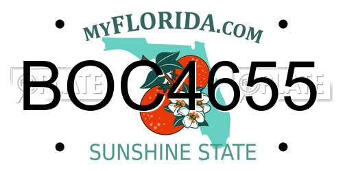 BOC4655 Florida License Plate