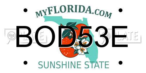 BOD53E Florida License Plate