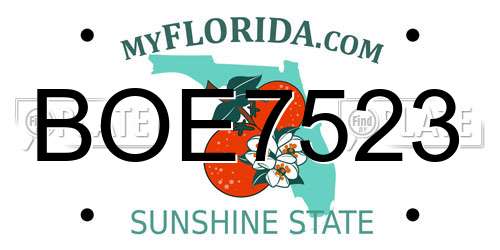 BOE7523 Florida License Plate