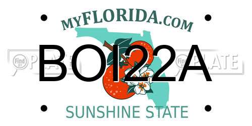 BOI22A Florida License Plate