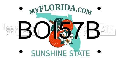BOI57B Florida License Plate