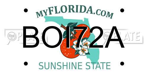 BOI72A Florida License Plate