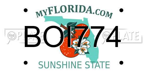 BOI774 Florida License Plate
