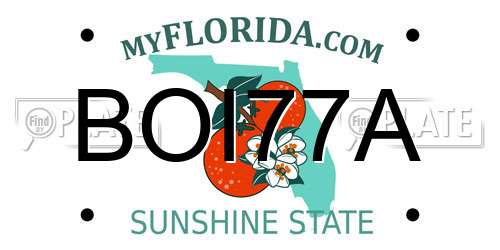 BOI77A Florida License Plate
