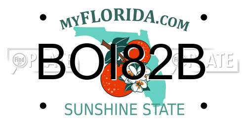 BOI82B Florida License Plate