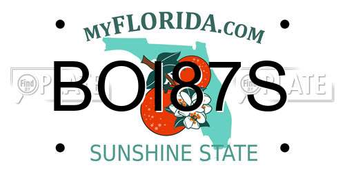 BOI87S Florida License Plate