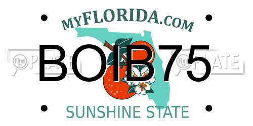 BOIB75 Florida License Plate