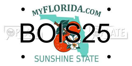 BOIS25 Florida License Plate