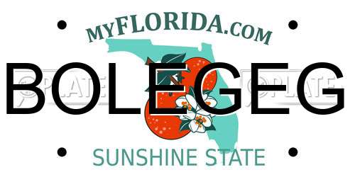 BOLEGEG Florida License Plate