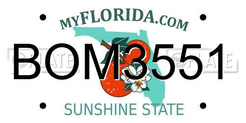 BOM3551 Florida License Plate
