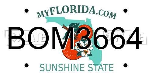 BOM3664 Florida License Plate