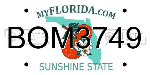 BOM3749 Florida License Plate