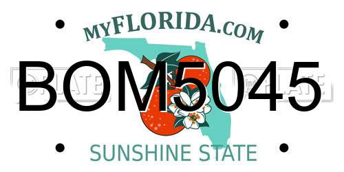 BOM5045 Florida License Plate