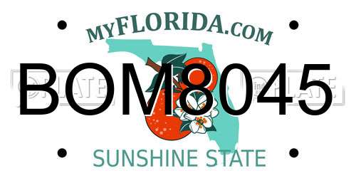 BOM8045 Florida License Plate