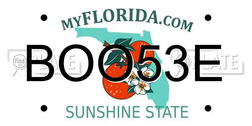 BOO53E Florida License Plate