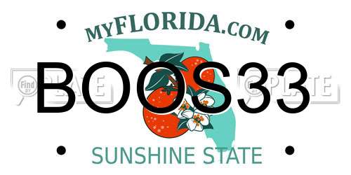 BOOS33 Florida License Plate