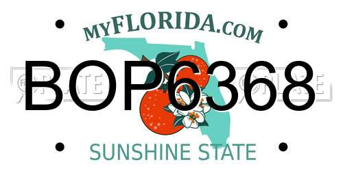 BOP6368 Florida License Plate