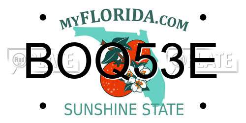 BOQ53E Florida License Plate