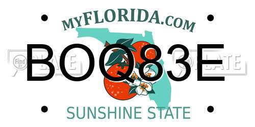 BOQ83E Florida License Plate