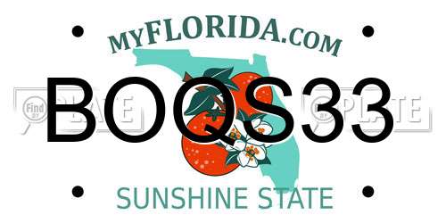 BOQS33 Florida License Plate