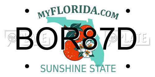 BOR87D Florida License Plate