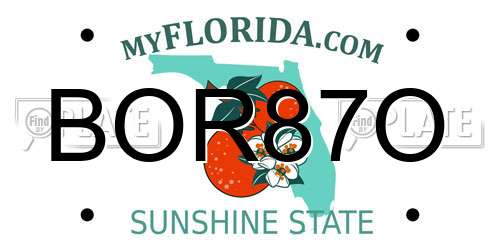 BOR87O Florida License Plate