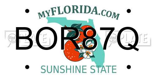 BOR87Q Florida License Plate