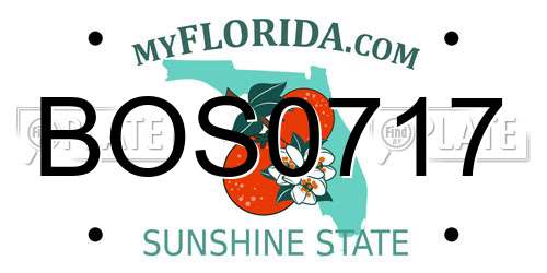 BOS0717 Florida License Plate