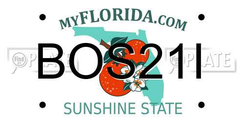 BOS21I Florida License Plate