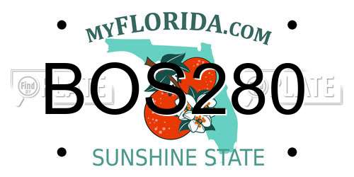 BOS280 Florida License Plate