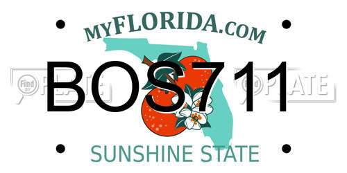 BOS711 Florida License Plate