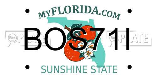 BOS71I Florida License Plate