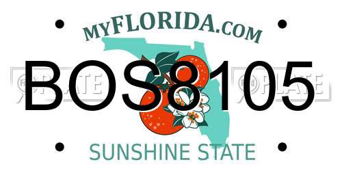 BOS8105 Florida License Plate