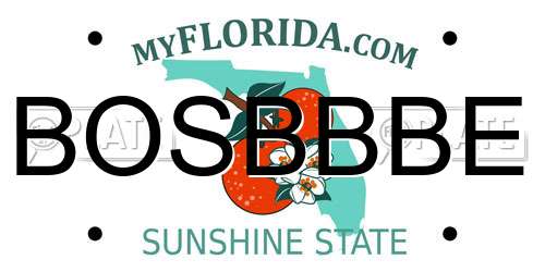 BOSBBBE Florida License Plate