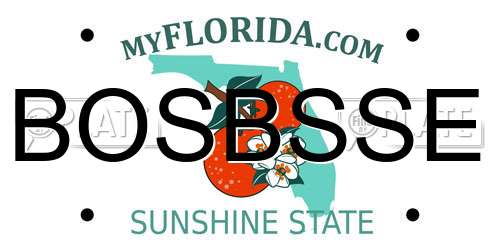 BOSBSSE Florida License Plate